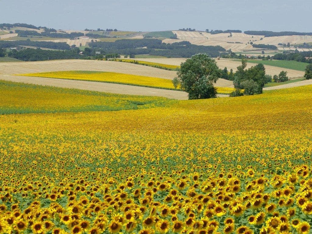 Luxury Villa Holidays An Introduction To Tarn Et Garonne Images, Photos, Reviews